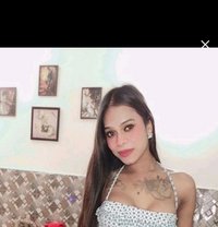 Cany - Transsexual escort in Chandigarh