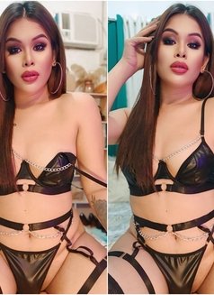 Captivating Ts Candice Bloom - Transsexual escort in Angeles City Photo 1 of 9