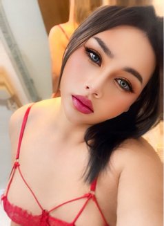 Cara New Ladyboy - Transsexual escort in Muscat Photo 19 of 22