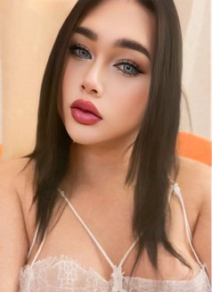 Cara New Ladyboy - Transsexual escort in Muscat Photo 20 of 22