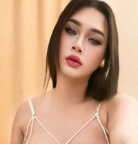Cara New Ladyboy - Transsexual escort in Muscat Photo 22 of 22