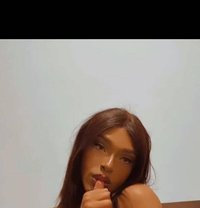 Caramela - Transsexual escort in Tunis