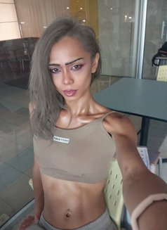 Carezy - Transsexual escort in Bangkok Photo 24 of 24