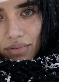 Carina - Transsexual escort in Phuket Photo 24 of 25