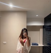 Carissa - Transsexual escort in Phuket