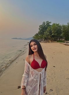 Carissa - Acompañantes transexual in Phuket Photo 2 of 4