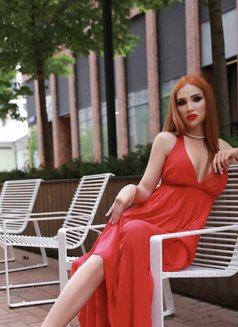 Carmen Big Dick - Transsexual escort in Hamilton, Canada Photo 2 of 7