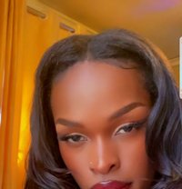 Carmilla - Acompañantes transexual in Nairobi