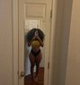 Anita African squirter - escort in Phuket Photo 3 of 7