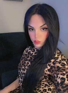 Carolina - Transsexual escort in Amman Photo 6 of 7