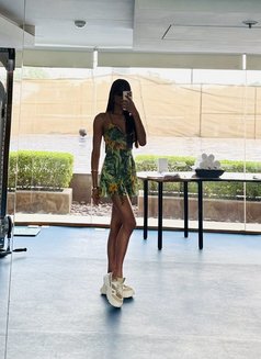 Caroline Behrs/cam girl/incall/outcall - Acompañantes transexual in New Delhi Photo 30 of 30