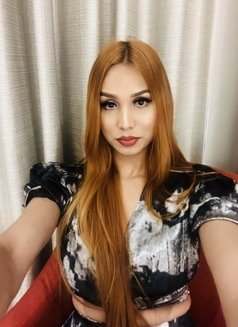 Caroline Behrs/cam girl‍♀️ - Transsexual escort in New Delhi Photo 24 of 30