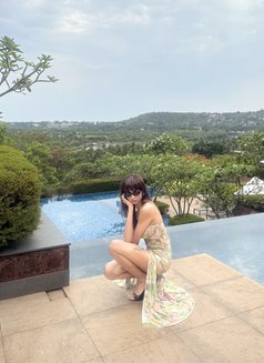 Caroline Behrs/incall /outcall - Transsexual escort in New Delhi Photo 11 of 29