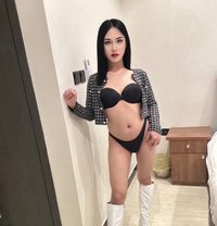 Cartoon woranan kim - Transsexual escort in Khobar