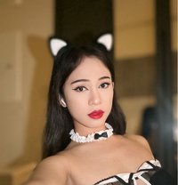 Cartoon woranan kim - Transsexual escort in Khobar Photo 8 of 9