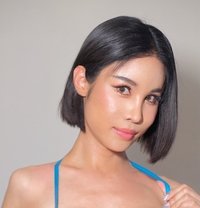 Cartooncandy Pornstar 🇹🇭 - Transsexual escort in Bangkok