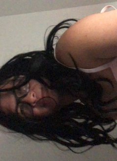 Casey Asian Thai Fil - Acompañantes transexual in Edmonton Photo 3 of 5