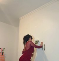 Cash on Meet for Regular Client - escort in Chandigarh