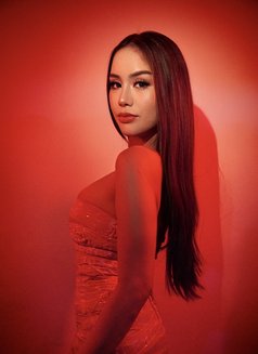 Cashmere desires expertise - escort in Hong Kong Photo 23 of 24
