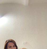 Cassandra - Transsexual escort in Marbella