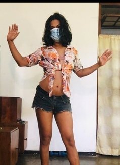 Cassandra - Transsexual escort in Colombo Photo 27 of 30