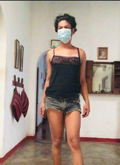 Cassandra - Transsexual escort in Colombo Photo 3 of 3
