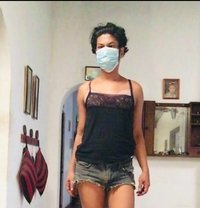 Cassandra - Transsexual escort in Colombo