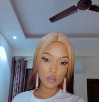 CassieAFRICAN QUEEN - escort in Chandigarh Photo 8 of 8