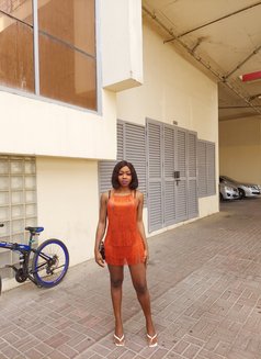 Michelle - puta in Cotonou Photo 1 of 6