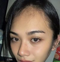Cassie - Transsexual companion in Cebu City