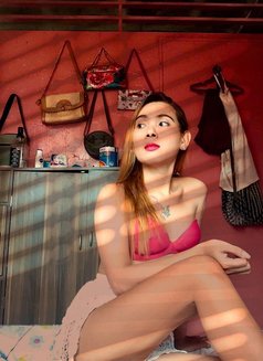 Cassie 🥀 - Transsexual escort in Cebu City Photo 2 of 5
