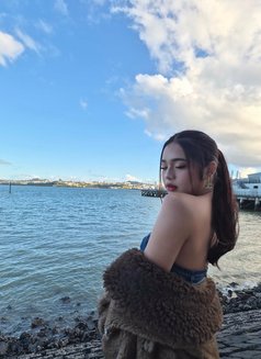 Cassy - Transsexual escort in Auckland Photo 2 of 12