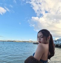 Cassy - Acompañantes transexual in Auckland