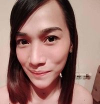 Just landed - Acompañantes transexual in Manila