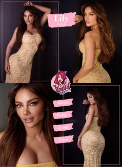 🦋 🦋 🦋 Cat Agency - Agencia de putas in Dubai Photo 17 of 19