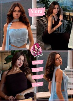🦋 🦋 🦋 Cat Agency - Agencia de putas in Dubai Photo 27 of 27