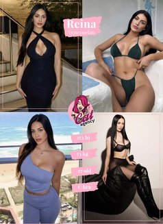 🦋 🦋 🦋 Cat Agency - Agencia de putas in Dubai Photo 14 of 21