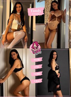 🦋 🦋 🦋 Cat Agency - Agencia de putas in Dubai Photo 27 of 27