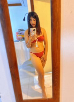Cat body massage - escort in Muscat Photo 2 of 5