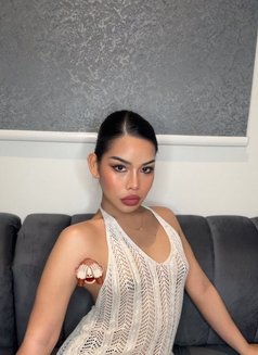 Cat both TH🇹🇭 - Transsexual escort in Al Manama Photo 7 of 8