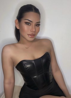 Cat both TH🇹🇭 - Transsexual escort in Al Manama Photo 4 of 6