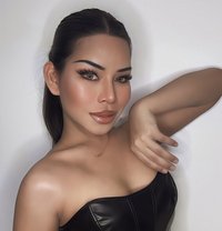 Cat both TH🇹🇭 - Transsexual escort in Al Manama Photo 5 of 6