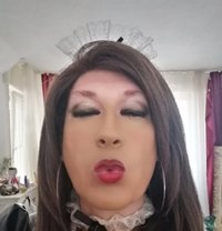 Cat Deluxe - Acompañantes transexual in Berlin