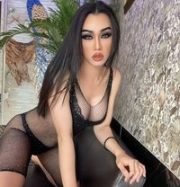 CATTY Big7Top Both - Transsexual escort in Chiang Mai