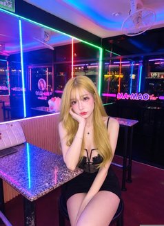 Cat - Transsexual escort in Pattaya Photo 9 of 10