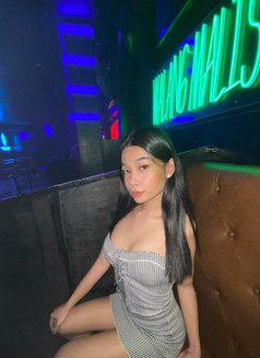 Cat Thanya Bbc - Transsexual escort in Manila Photo 7 of 7