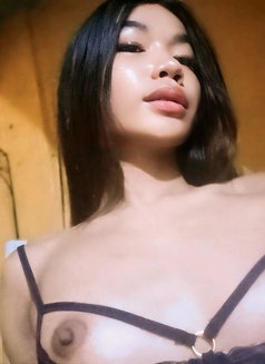 Cat Thanya Bbc - Acompañantes transexual in Manila Photo 7 of 8