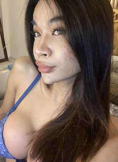 Cat Thanya Bbc - Transsexual escort in Manila Photo 7 of 13