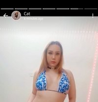 Cat Water - Transsexual escort in Muscat