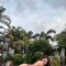 Catalina - Acompañantes transexual in Cebu City